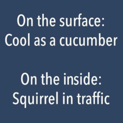 bootyanddoubloons:  carnalincarnate:  True.  Lol….. Anything with squirrel in it is funny  LOL. I know the feeling 👍👍😳