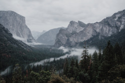 basdos:   Tunnel View  