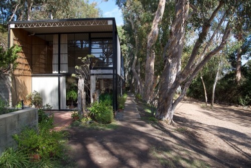 Ray and Charles Eames, The Case Study House #8, planned and constructed 1945-1949. Pacific Palicades