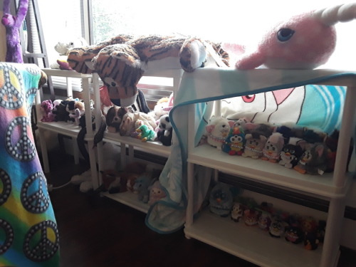 plushie &amp; Furby shelf has been assembled!!!!! now everyone has a place to live 