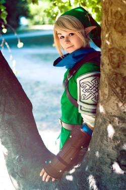 Hyrule Warriors Link by Lizzardon123 