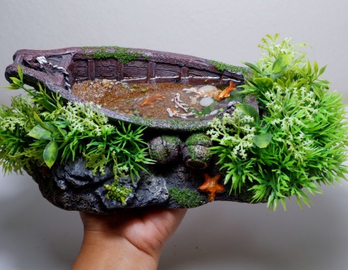 Miniature Koi Ponds