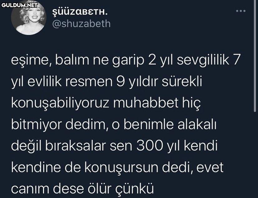 şüüzaBETH. @shuzabeth...