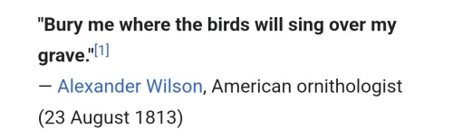 I Have Spent My Evening Looking Through A Wikipedia List Of Last Words And Need To Share Some Of Them