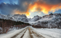 etherealvistas:  Lofoten Lights (Norway) by Clickpix || Website