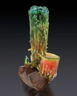 ggeology:   Tourmaline with Smoky Quartz