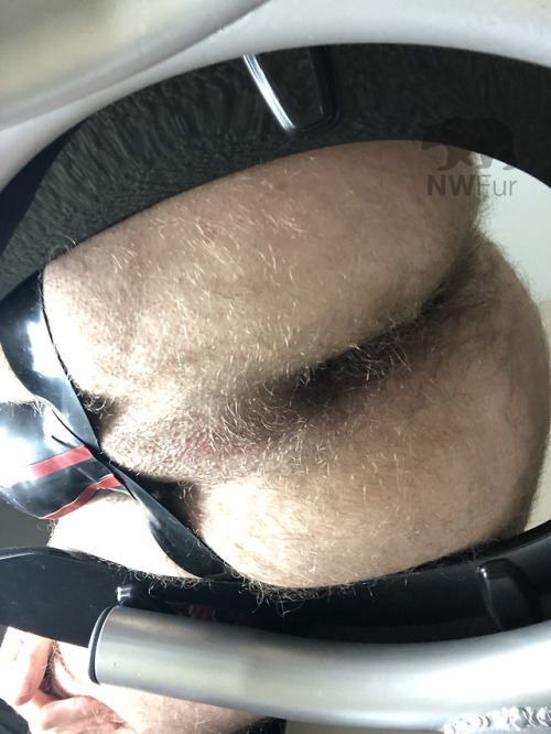 nwfur:  nwfur:Who wants to be under me? 😏 For the Saturday morning crowd.