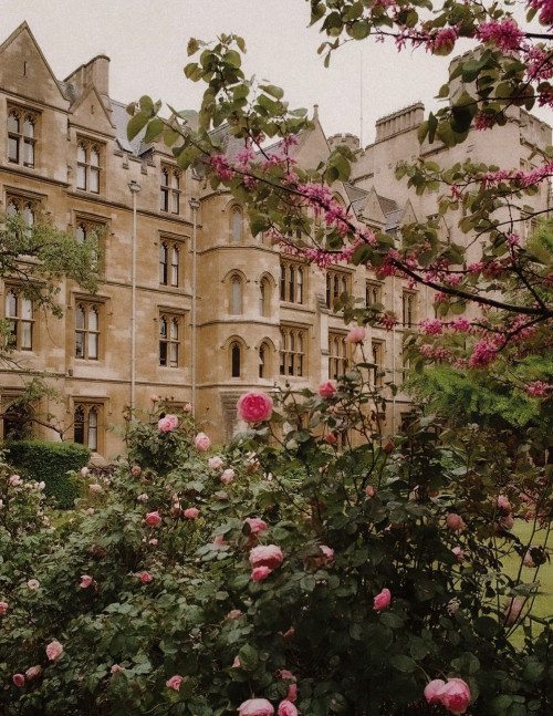University Of Oxford By Easy.reel.