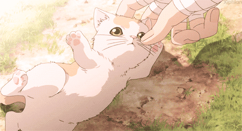 tonberryotaku: I r vicious kitten rwar
