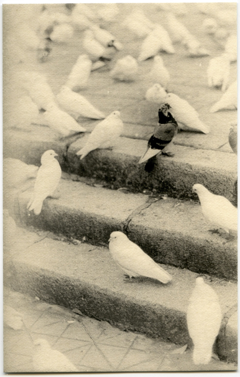 Albarrán Cabrera, The Mouth of Krishna, Sevile, 2012.