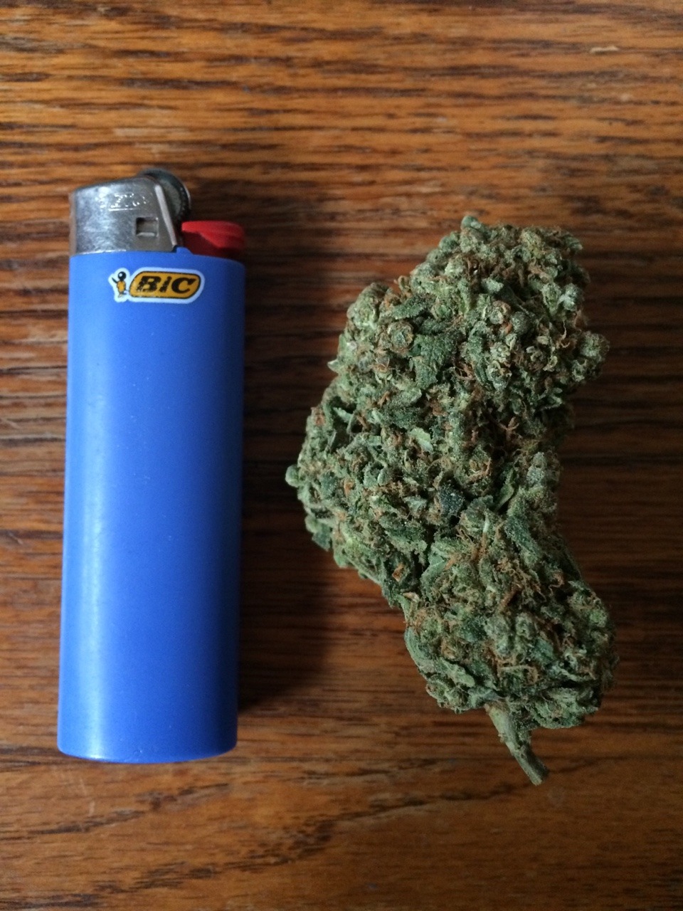 sunshinee-inabag:  giant nug