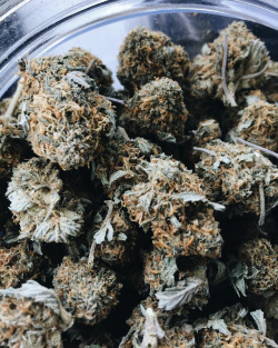 thedreamhaze:  🚀 how high? 🍍