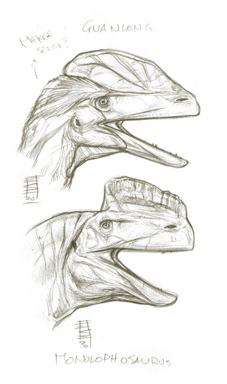Sketchy Dino Heads_Guanlong &amp; Monolophosaurus. Pencils, 2020.References: Greg S. Paul.