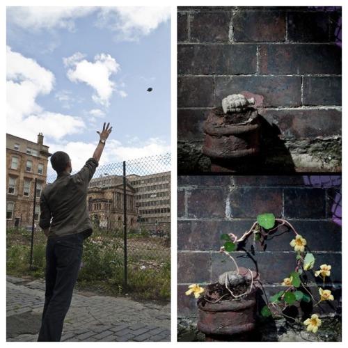 moarrrmagazine:  Seedboom your surrounding!!! Seedboms are made with an explosive mix of peat f