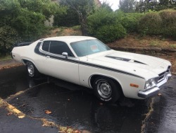 jacdurac:  Plymouth Road Runner