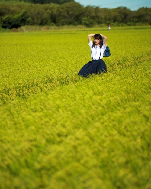 #portrait #photograph #photoshoot #japanese #japaneseview #schooluniform #girl #summer #架空荘 #kakuuso