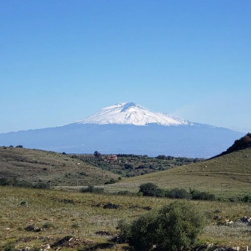 This morning I woke up in the inn where we are hosting part of our Yoga in Sicily tour this June (3 