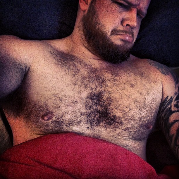 aussiegrunt:  I don’t want to get out of bed …and yes I know it’s after midday!
