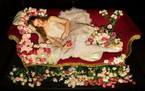 poisoned-apple: Lana Jones, principal dancer of Australian ballet