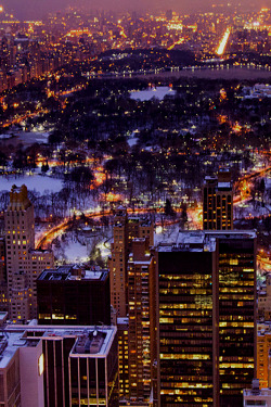 infamousgod:  Snowy Central Park 