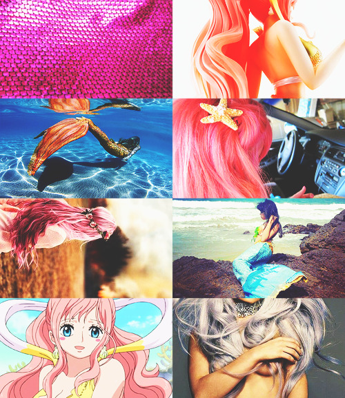 youngreinhardt: one piece aesthetics; shirahoshi.