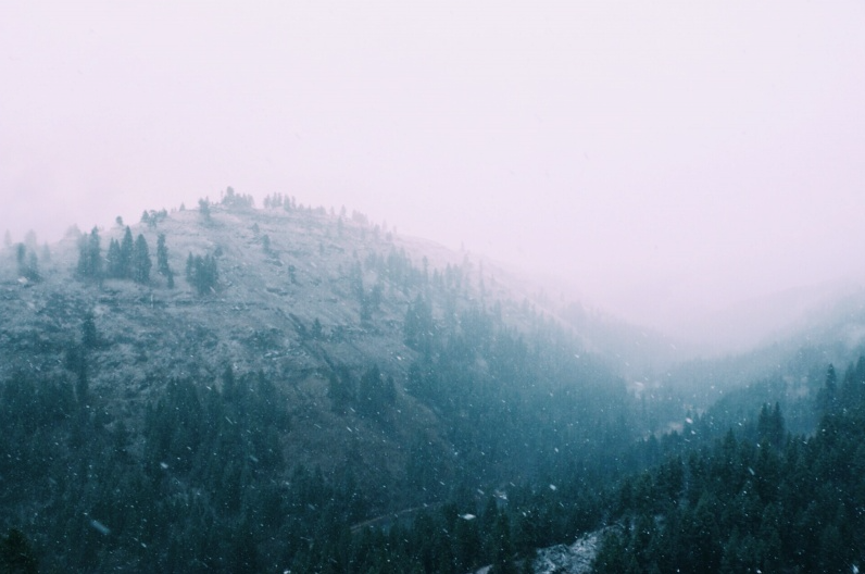 deletingmyself: (by Griffin Lamb) Website | Society6 (Prints) | Tumblr | Instagram