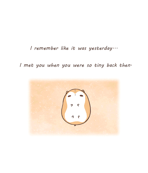 chibireiko:I made a gif animation of my comic last year, “My Spam,” a tribute to my precious little 