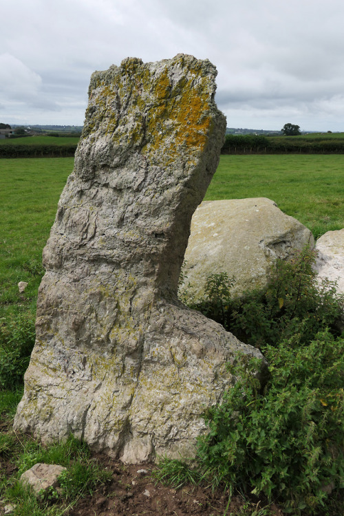 Hendrefor Burial Chambers, nr. Pentraeth, Anglesey, North Wales, 14.8.18.This is the second time I h