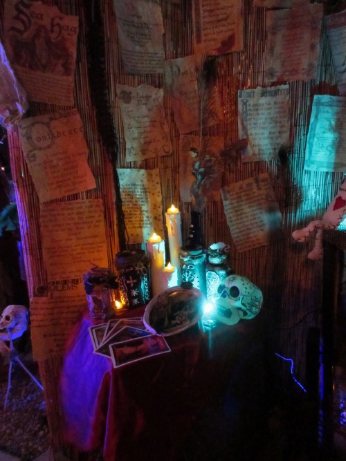 Some pics inside the swamp witch shack/front door area, where I sat to hand out the candy :)