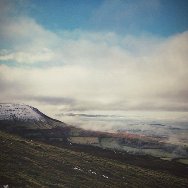 foxmouth:  Instagram, 2014 | by Finn Beales + @finn on Instagram