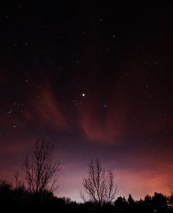 opticallyaroused:  Night Sky