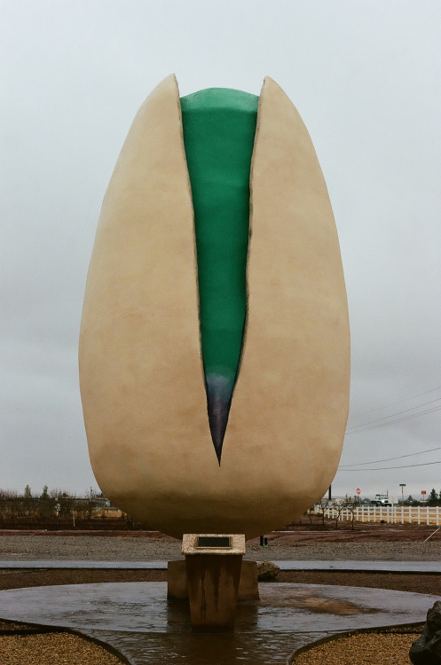 arsnof: dcci:World’s Largest Pistachio New Mexico | February 2020Images shot by me (dcci) with a Can