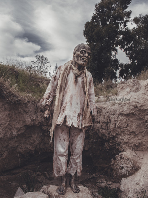 Zombie Cosplay from iconic Lucio Fulci’s film “Zombi 2″ Follow for more! &gt;&gt; https://www.instag