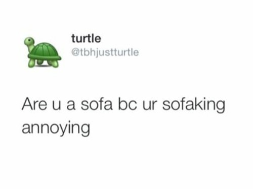 SpΔrk of InsΔnity