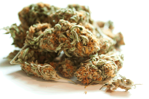 Herbal Zone
