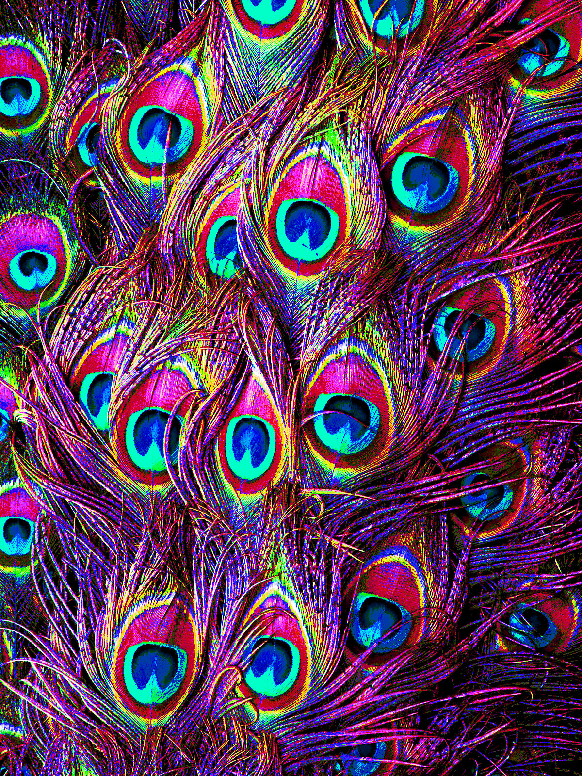 psychedelic-psychiatrist:  &ldquo;Exotic&rdquo; by Aly Stinson 