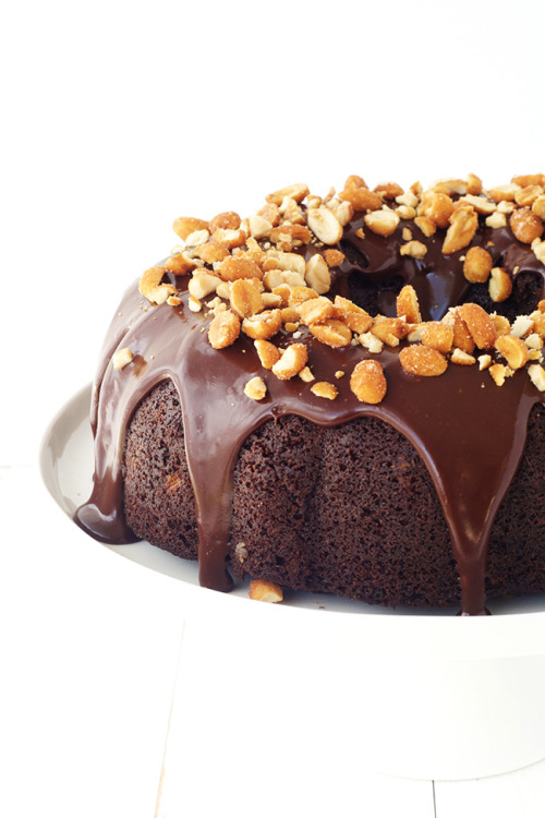 foodiebliss:  Chocolate Peanut Butter Bundt CakeSource: Sweetest Menu   Where food lovers unite.    