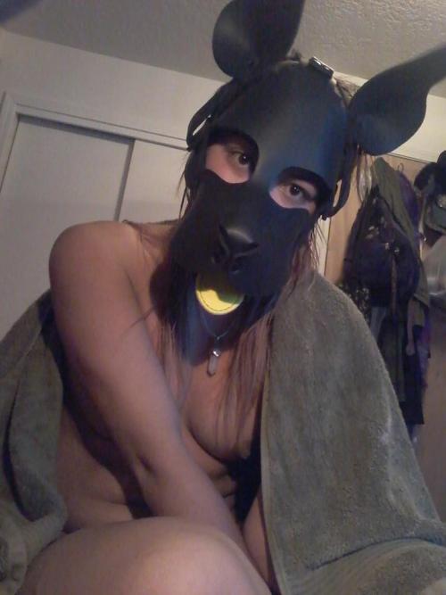 Porn photo masters-little-wolf: This pup is squeaky