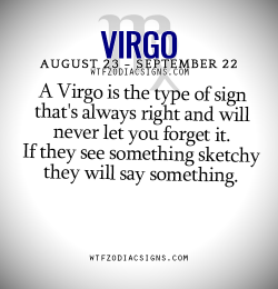 wtfzodiacsigns:  A Virgo is the type of sign