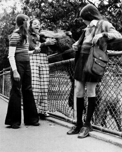 Visite au zoo, 1973.