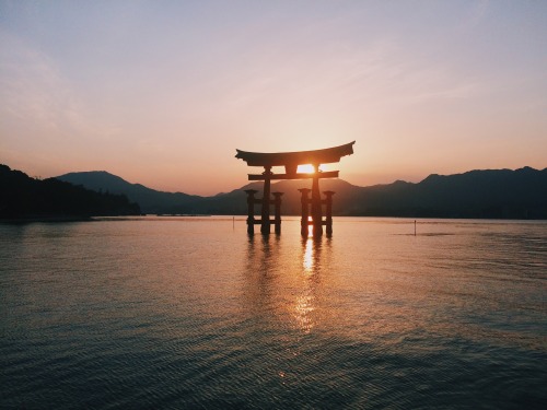 farfromthepacific: omoi-kiri: 6 views of the revered O-torii at Itsukushima Shrine, Hiroshima prefec