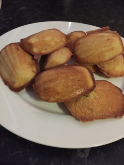 embarassinglysexualurl:  Aw yis freshly baked lemon madeleines up in dis bitch