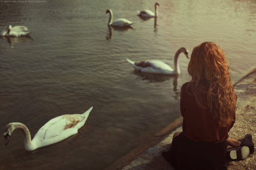 Mathilda and the swans by M0THart 