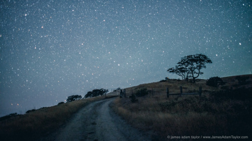 jamesadamtaylor: Public Lands/ Exploration/ Night Sky/ Searching for a meteor burst last night 