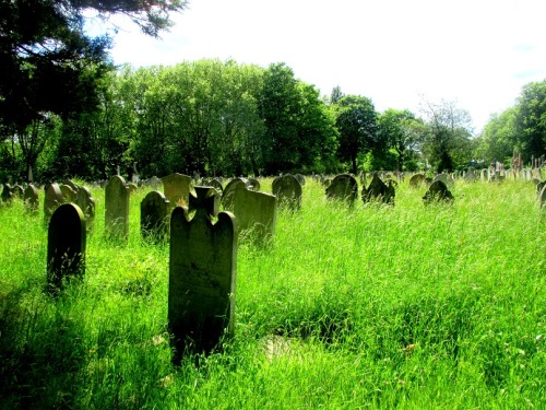 “Champ” - Brockley Cemetery, London, 2015 (credit : RG)(purchase here : shop.sols