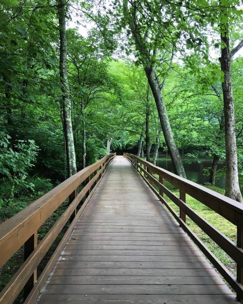 Perfect#greathollowlake #greathollow #hike #hiking #dayhike #monroe #connecticut #nature #tree #tr