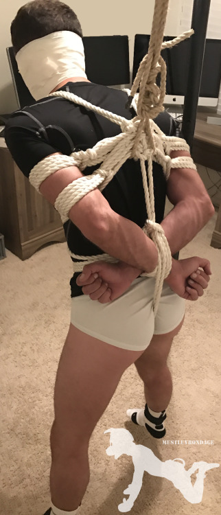 XXX mustluvbondage:@bg-bdsm got put in a stressful photo