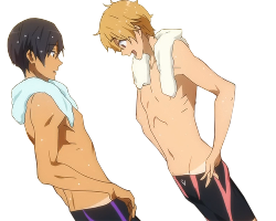 imayoshishouichi:  transparent Haru and Nagisa