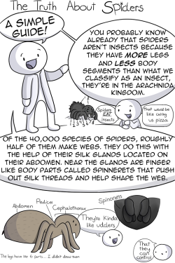 furryredfox:  dennybutt:  gothiccharmschool:  tastefullyoffensive:  [theodd1sout]  This comic perfectly encapsulates my reaction to spiders. They’re helpful! They’re not lurking about, waiting to jump out and terrify me! I STILL DO NOT WANT TO SEE