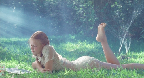 rosierainy:“I stood listening to that musical vibration from my lofty slope, to those flashes of sep